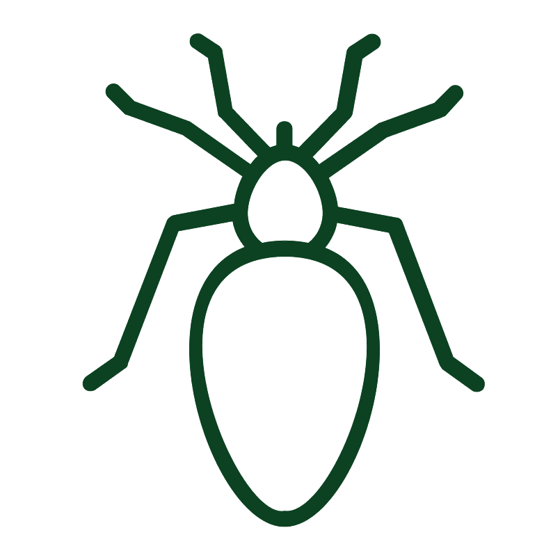 Fleas, ticks and worms icon