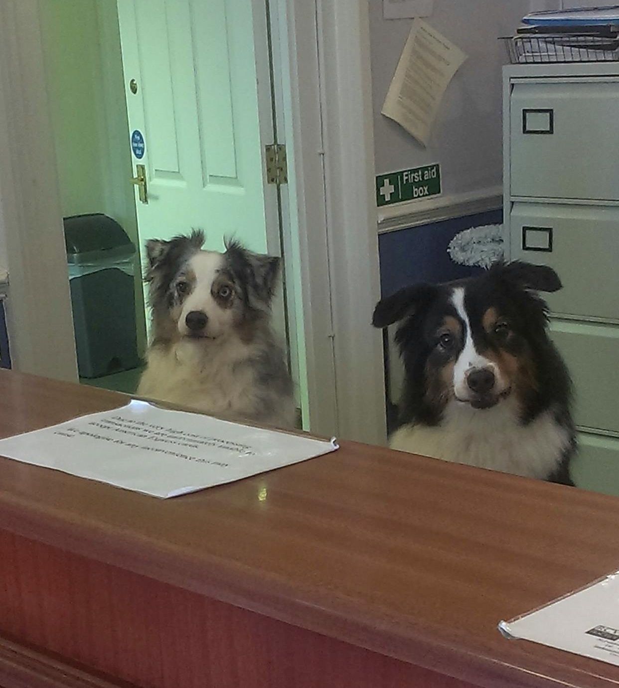 Reception