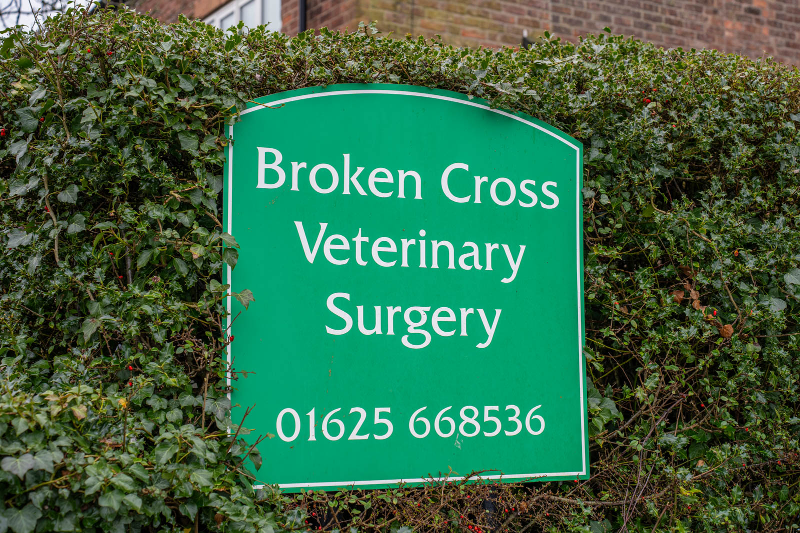 Broken Cross Veterinary Surgery (Web) 005